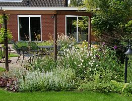 Terras omsloten door beplanting.