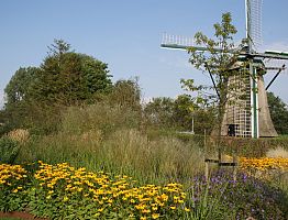 Van de lente tot diep in de herfst kleurrijk. 
