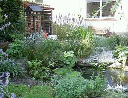 De vijver is omgeven door beplanting met verschillende groentinten en bladvormen.