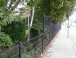 Dubbelstaafs gegalvaniseerd zwart gecoat hekwerk.