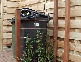 Containers uit het zicht door gaashekwerkje met Hedera.