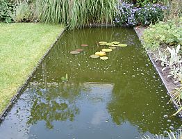 Rechthoekige vijver op de grens van terras en gazon.