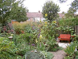 Gevarieerde beplanting geel en paarstinten.