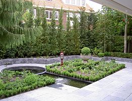 Haag van Leylandii.