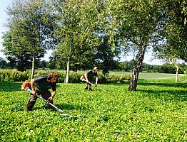 Scheren van blokbeplanting met een verlengde heggenschaar