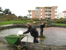 Schoonmaken van een vijver.