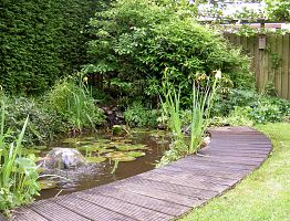 Vijver met waterspel omgeven door groene beplanting.