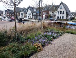 Siertuin aan het water met siergrassen